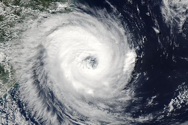 Hector, cyclone de catégorie 4 (illustration)