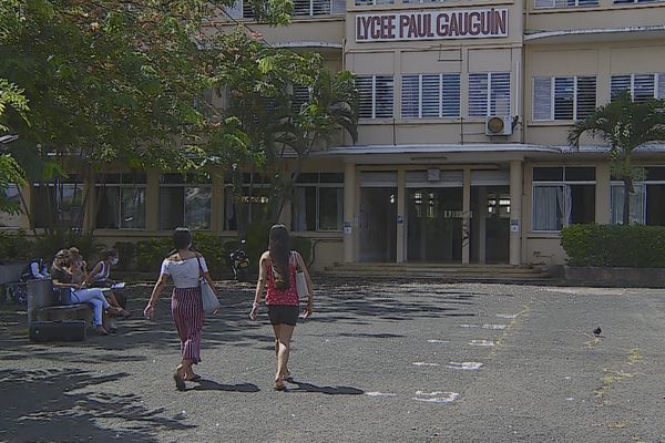 Combien de jeunes quittent chaque année le cursus scolaire en Polynésie ?
