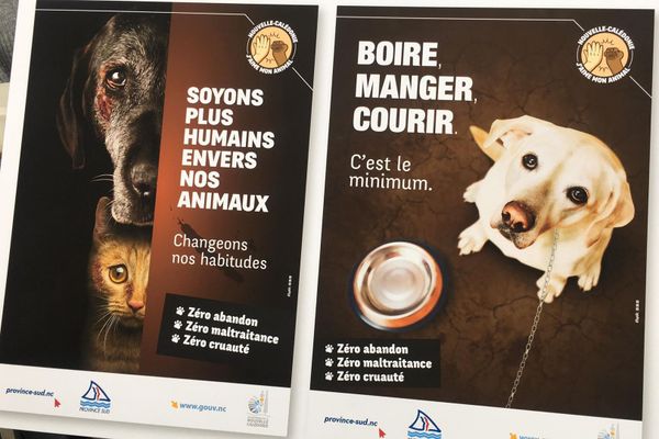 CAMPAGNE CONTRE LA MALTRAITANCE ANIMALE, septembre 2020