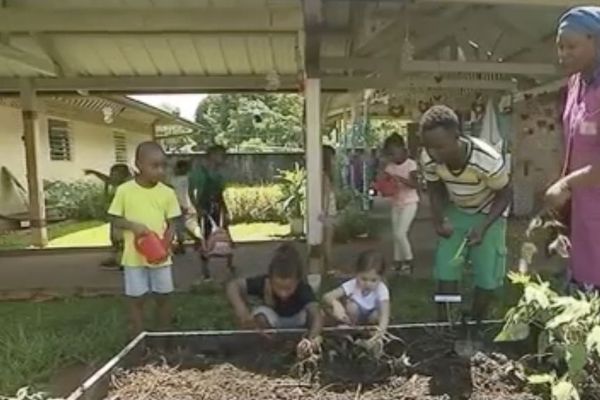 Environnement : le potager bio de la maternelle de la Roseraie