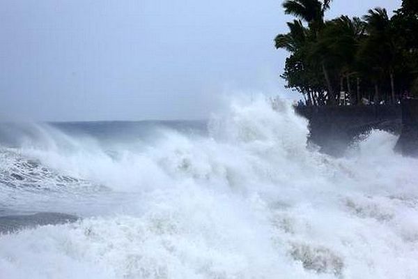 Houle sur le Sud sauvage