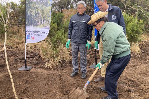 Plaine-des-Cafres Parc du Volcan lancement travaux