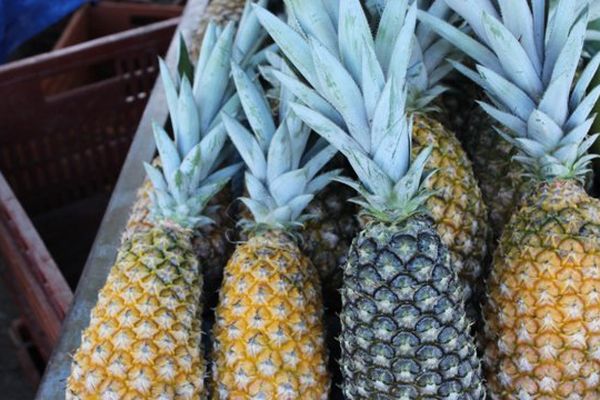 Ananas au marché de Cayenne