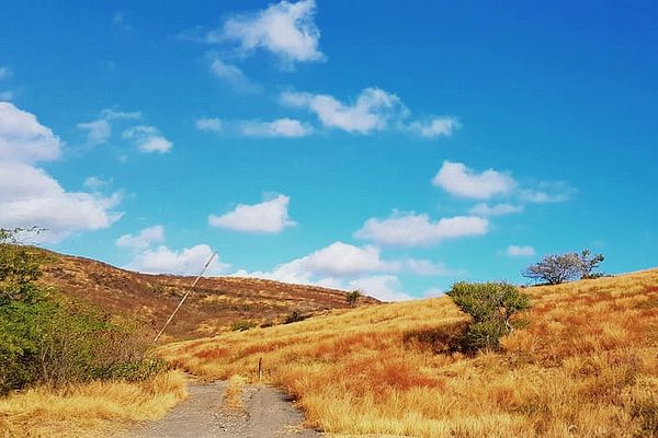 Ciel bleu sur la savane ce lundi 29 août 2022