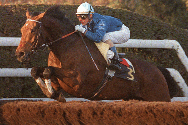 Course de haies sur l'hippodrome d'Auteuil