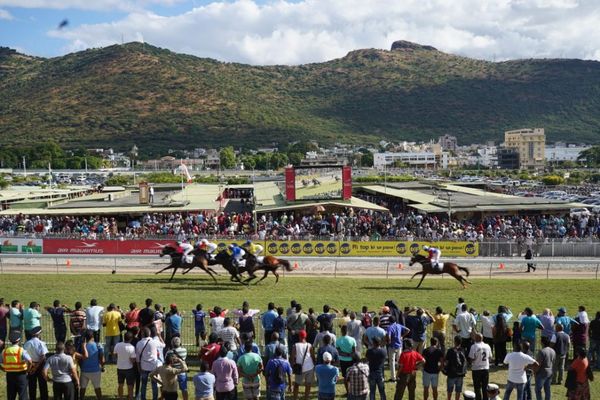 Maurice : Des pièges métalliques sur l’hippodrome