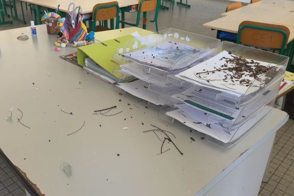 Des bouts de verre et de la terre partout. C'est ce qui attendait les élèves des classes vandalisées de l'école de Dubédou, à Saint-François - 27/01/2025.