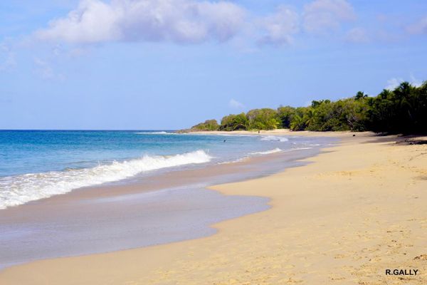 Loisirs / plage / vacances / tourisme / économie / Martinique