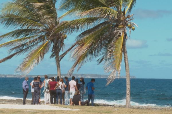 Jeunes face au réchauffement climatique