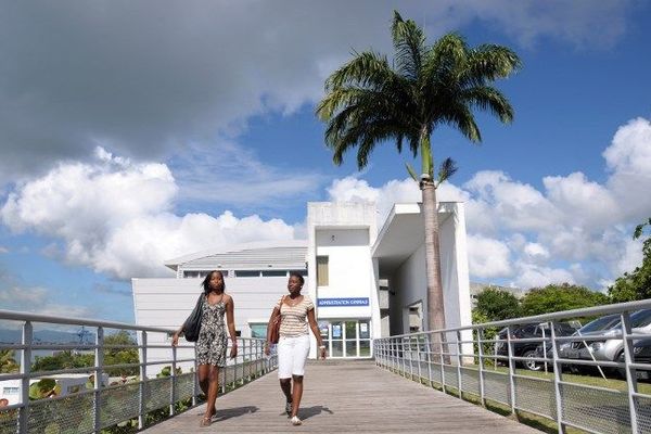 Université des Antilles