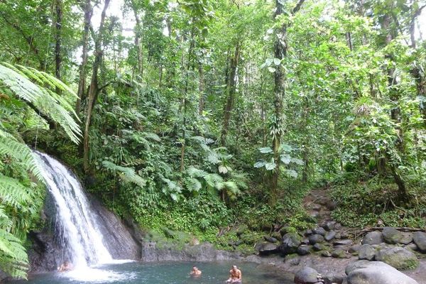 La cascade aux écrevisses (Description Article)