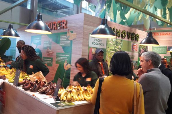 La Pointe d'Or se retrouve sur le stand des bananes françaises au Salon de l'agriculture