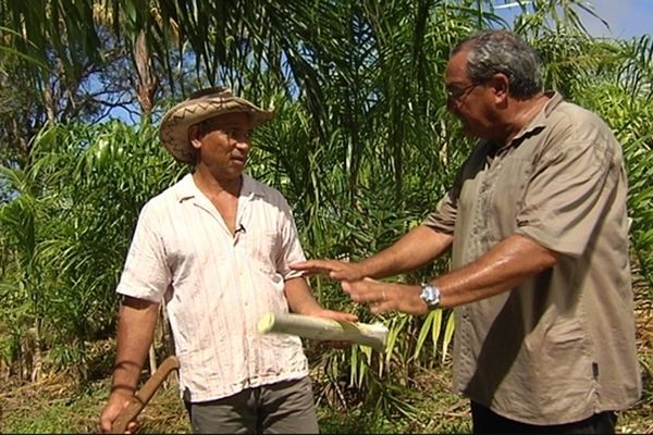 Par lé o par lé ba du jeudi 11 avril 2013 : CIRAD ‘1ère partie’