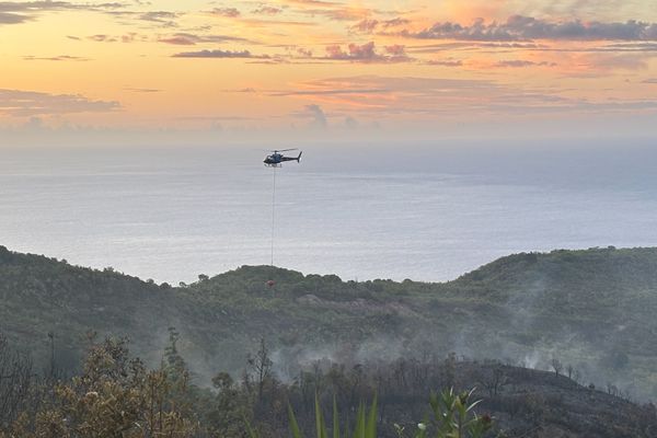 Une cinquantaine d'hectares déjà parcourus par le feu à La Montagne.