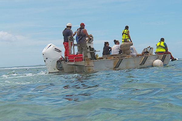 La barge procède à l'essai, à Teahupoo.