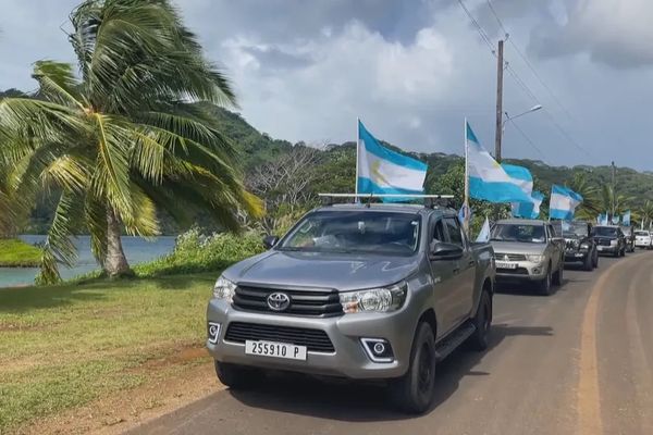 Impossible de les rater sur la petite et paisible île de Tahaa.