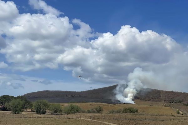 Les pâturages desséchés et la savane à niaoulis sont vulnérables au feu.