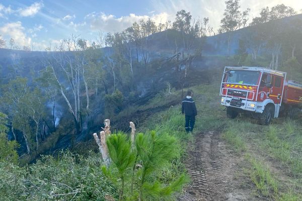 Dégâts causés par le feu de Dumbéa et Païta dans la savane à niaoulis, le 17 février 2024.