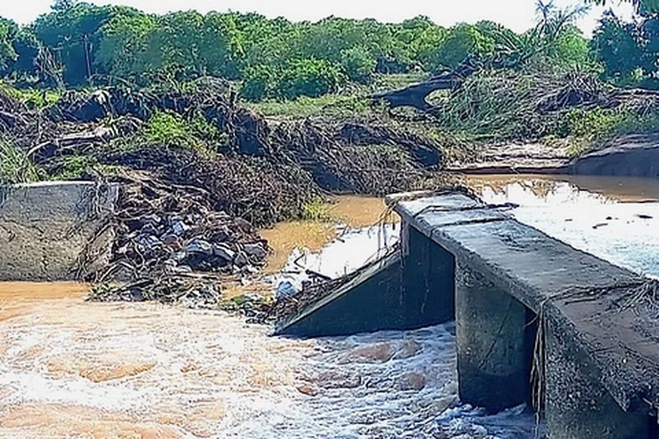 Madagascar : l'agriculture paye un lourd tribut au cyclone tropical Gamane