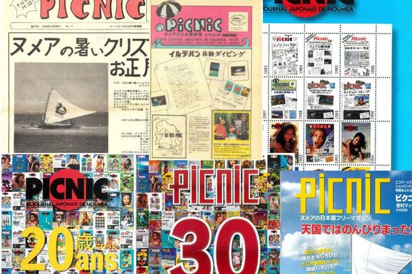 Lancé en décembre 1983, le magazine Pic Nic s'arrête au bout de 221 numéros