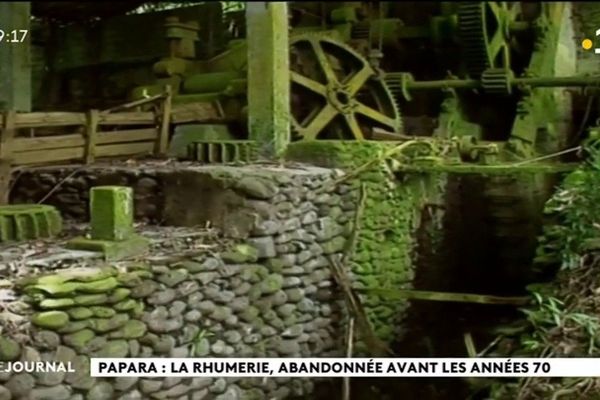 Au coeur du fenua : la rhumerie de Papara