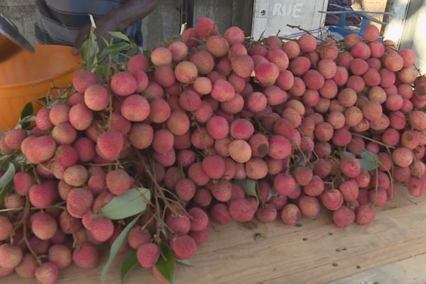 Les letchis, fruits indissociables des fêtes de fin d'année à La Réunion.