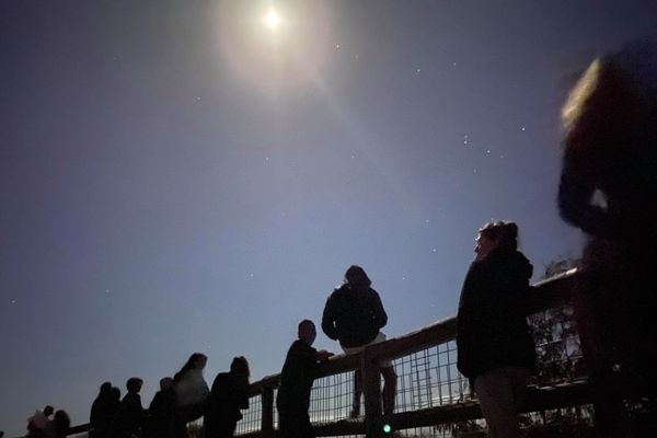 Observación del eclipse lunar