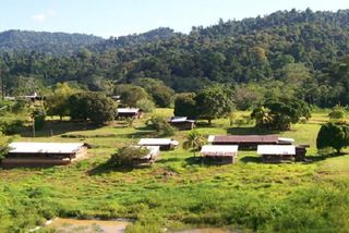 Le Débat Public Sur La Montagne Dor Se Prépare En Guyane