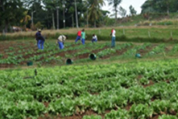 Apprentissage agricole