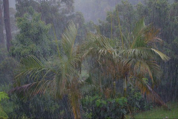 Temps de tempête tropicale.