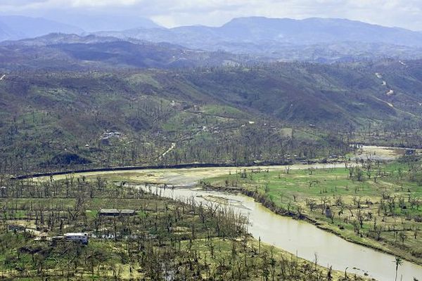 Haïti pertes agricoles 