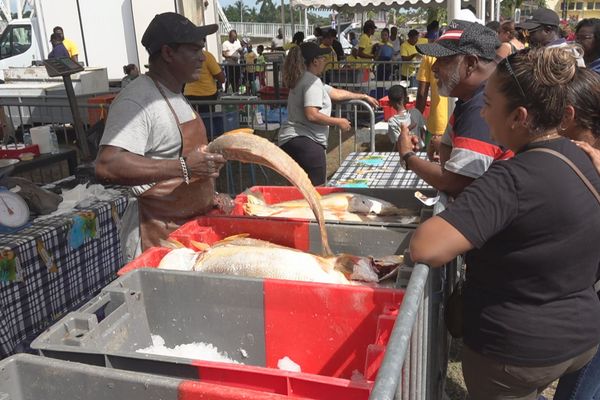 Sinnamary accueillait ce samedi 9 novembre 2024  la fête du poisson