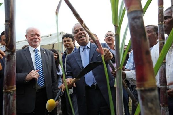 Fruteau et Lurel champ de Canne Réunion défiscalisation