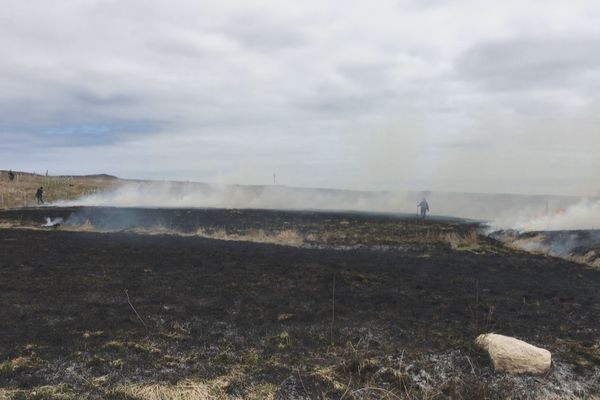 La technique ancestrale de l'écobuage toujours pratiquée à Miquelon 