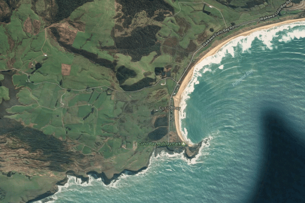 Curio Bay, au sud de l'ile du Sud.