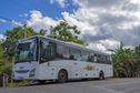 Les chauffeurs de bus de Mayotte de retour des jeux Olympiques