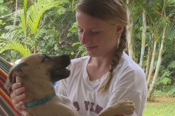 Roxy a trouvé une famille d'accueil.