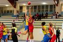 Basket en Martinique : soir de finales de coupe de France avec Eclair/Golden-Star et Golden-Lion/Golden-Star