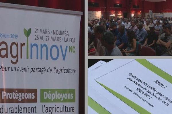 Agrinov : le forum fait la promotion du "bio"