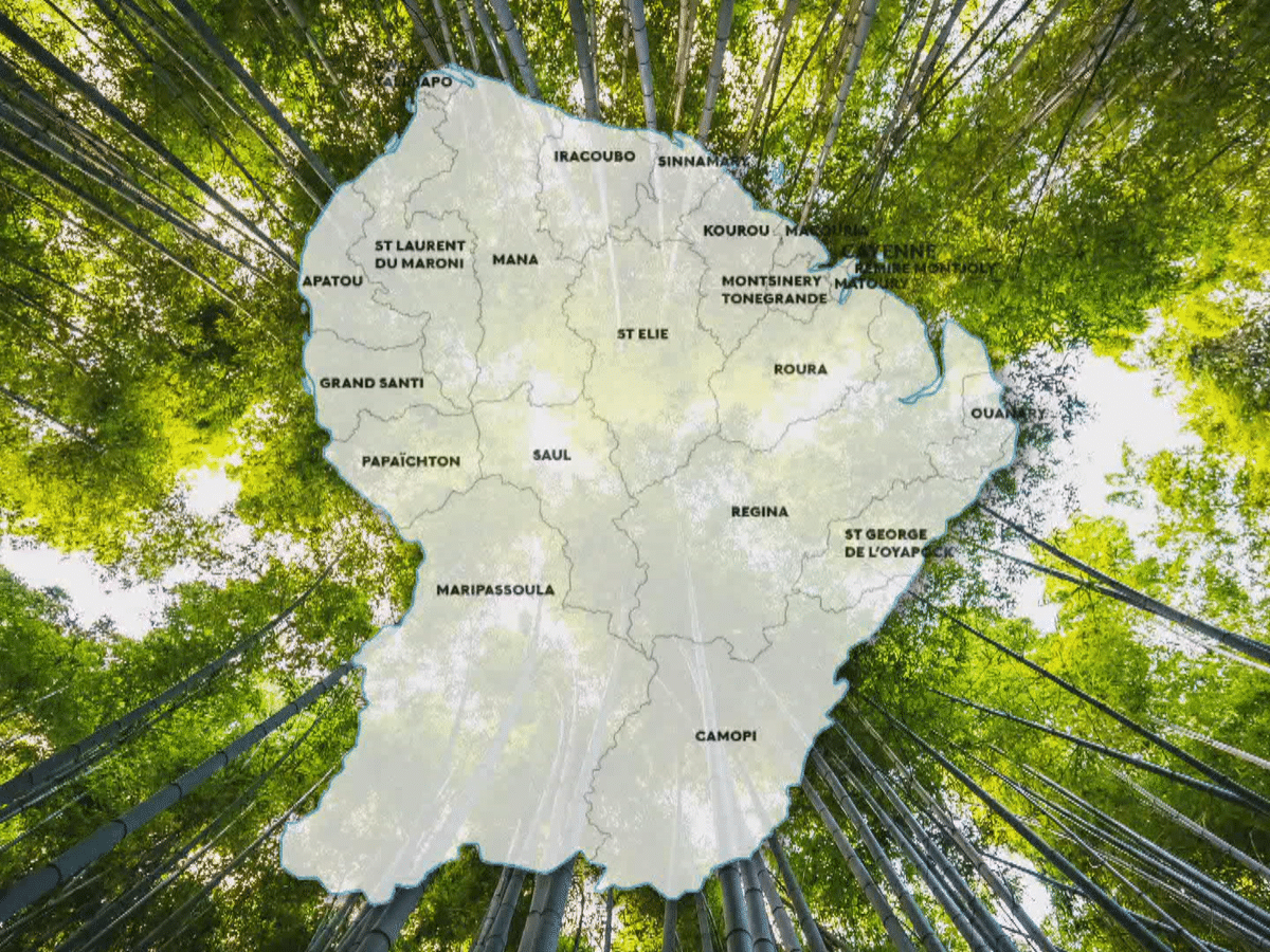 Le contexte en Guyane 2022 - PachaGaïa