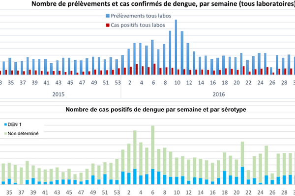 La dengue est toujours présente en Polynésie