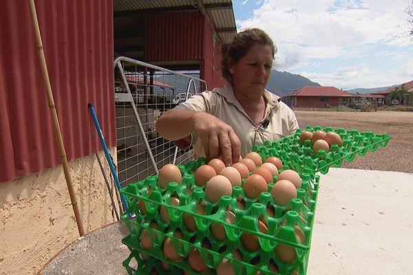 Nathalie a sauté le pas entre camions poids lourds et agriculture.