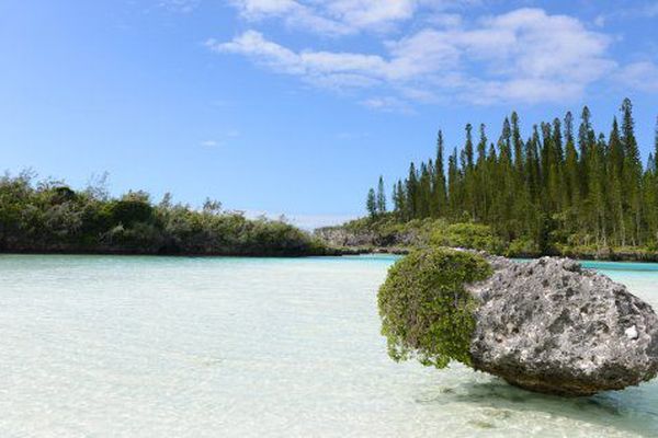 La piscine naturelle de l'île des Pins.