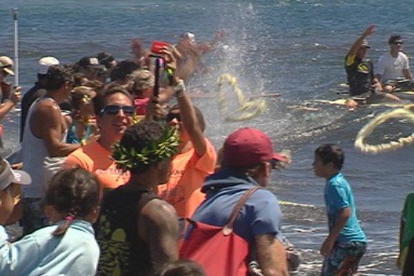 Les colliers jetés à la mer par dizaines