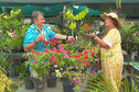 Portrait: Christophe Martinez, l'horticulteur "historique" de la foire agricole d'Outumaoro