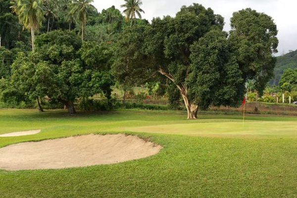 Les parcours d'Atimaono et de Temae attendent les golfeurs vendredi et samedi pour le 30e Téléthon