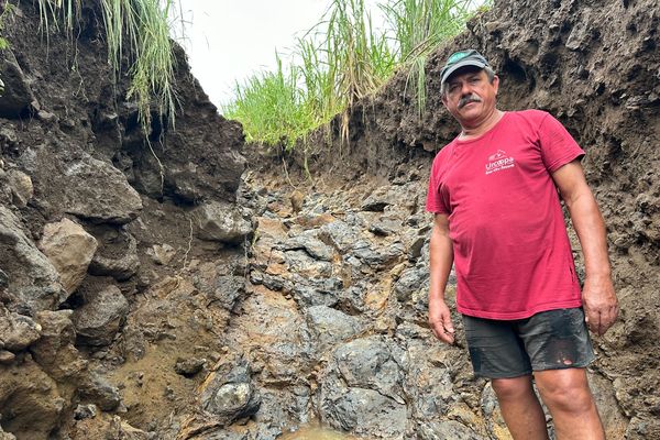 Fortes pluies à La Réunion : des dégâts colossaux pour les planteurs dans le Sud