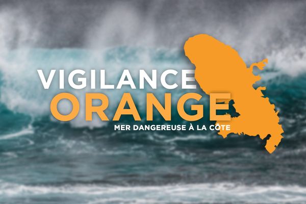 Vigilance Orange