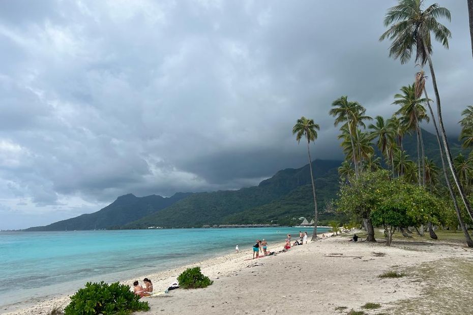 Le Rachat Du Terrain De Louis Wane à Moorea Par Le Pays Annulé, Et 