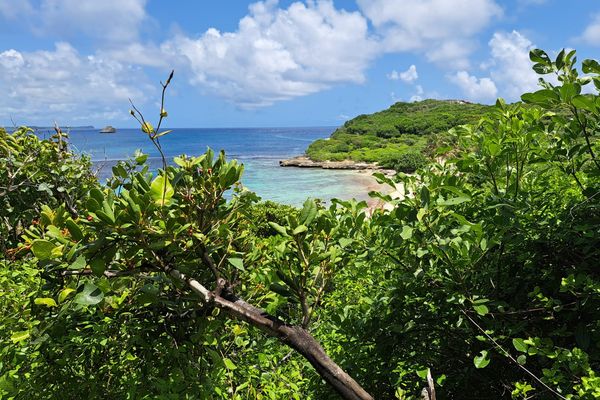 L'anse Tarare, à Saint-François, est connue pour être une plage nudiste.